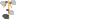 このページの先頭へ