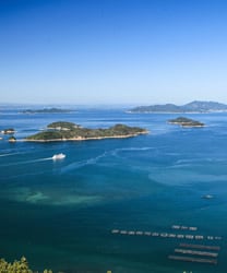瀬戸内の海は美味の宝庫です